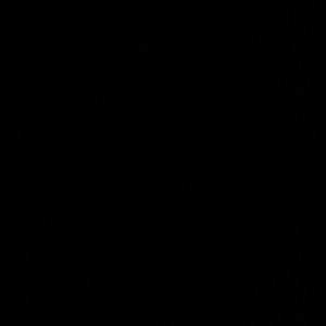 Meet your Posher, Anel